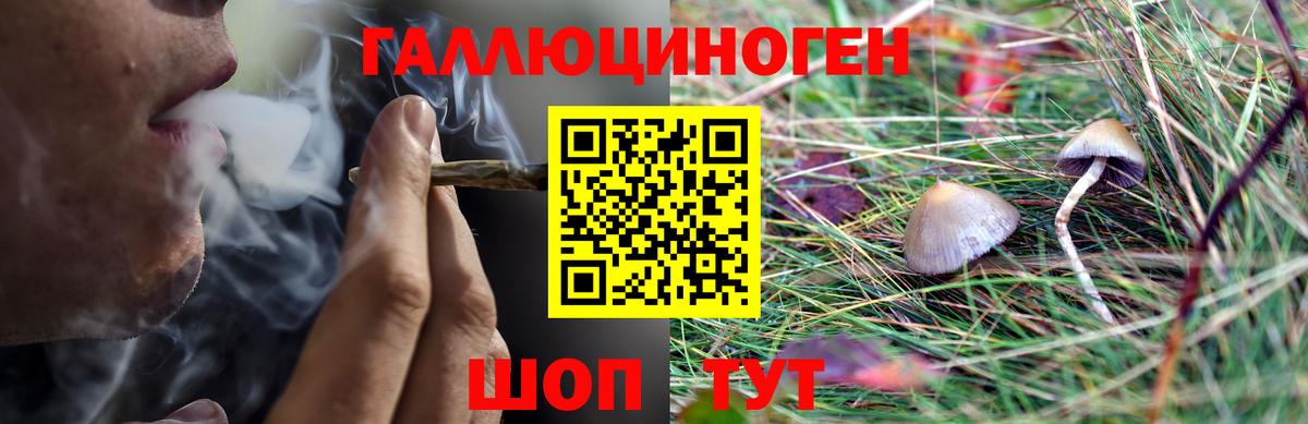 Псилоцибиновые грибы мухоморы Алапаевск