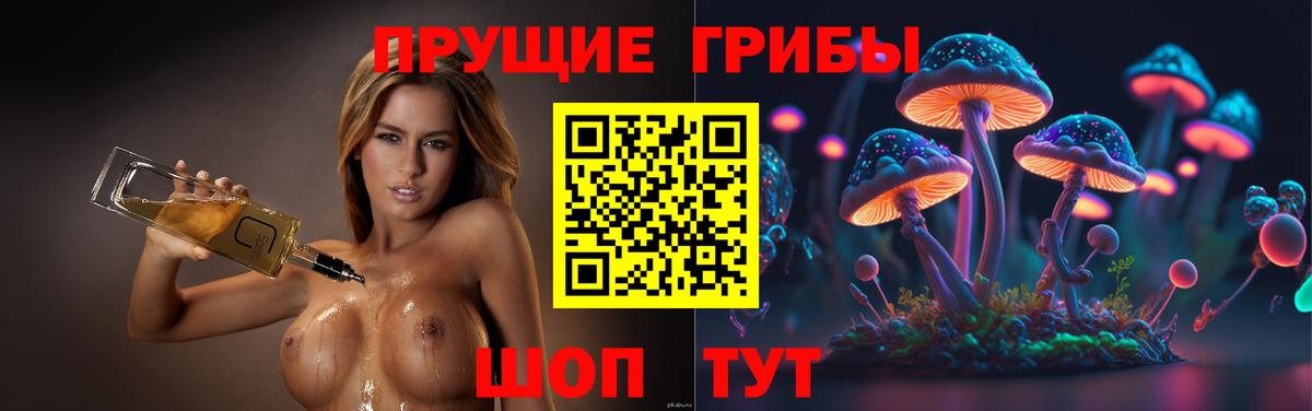 Галлюциногенные грибы Psilocybine cubensis  Вход с VPN  Алапаевск 